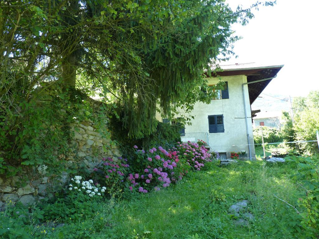 Domaine De La Safraniere - Chambre D'Hote Saint-Léger Exterior foto